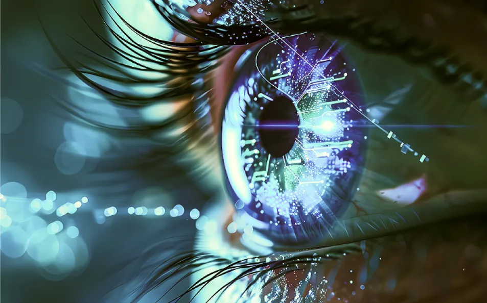 vision